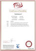 Chine Shenzhen Hansome Technology Co., Ltd. certifications